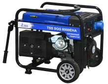 SGG 6000 EHA с АВР SGG 6000 EHA с АВР